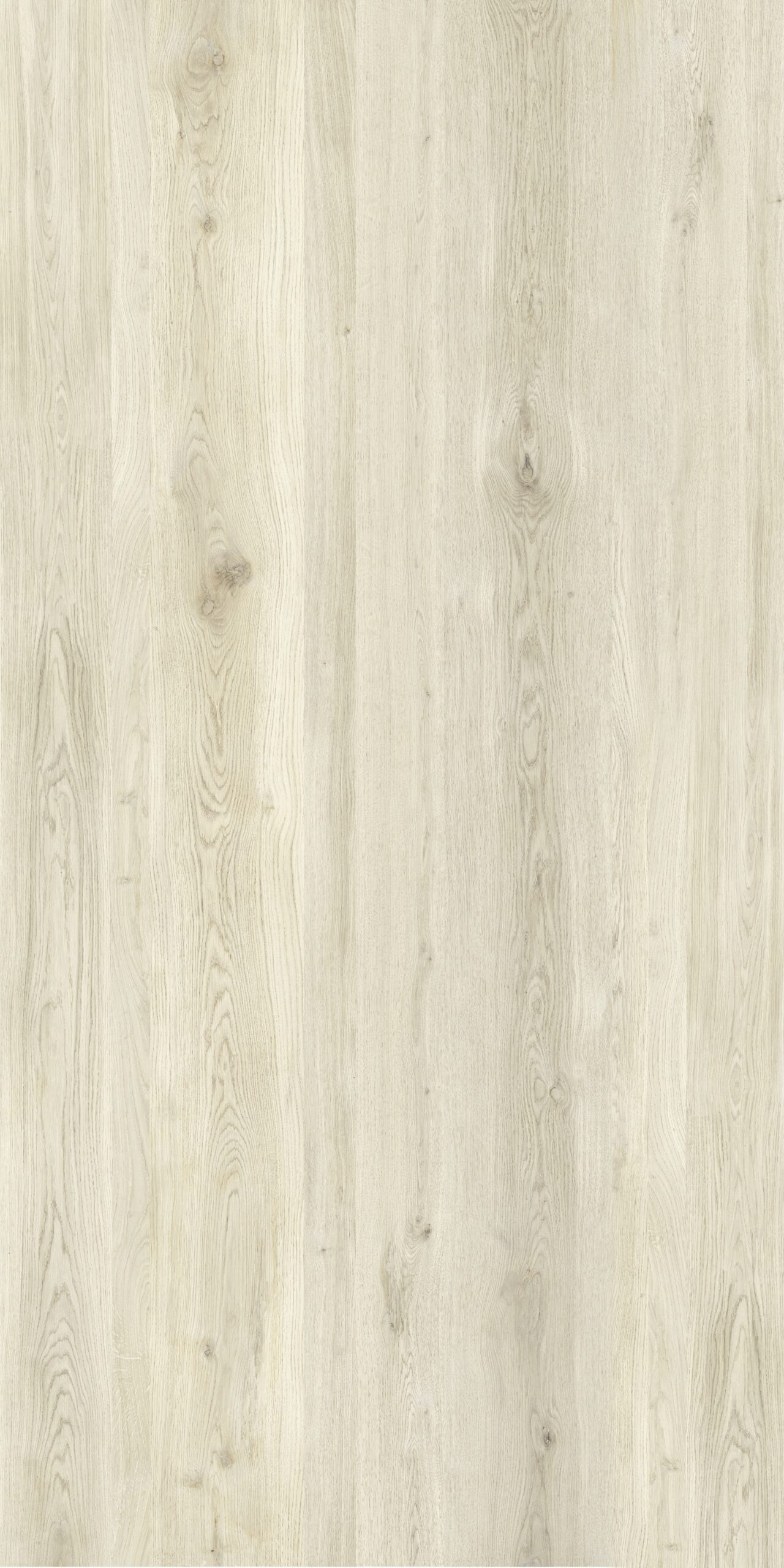 Lapidura Wood Essence Almond | Ahşap Görünümlü Porselen | Ecesoy